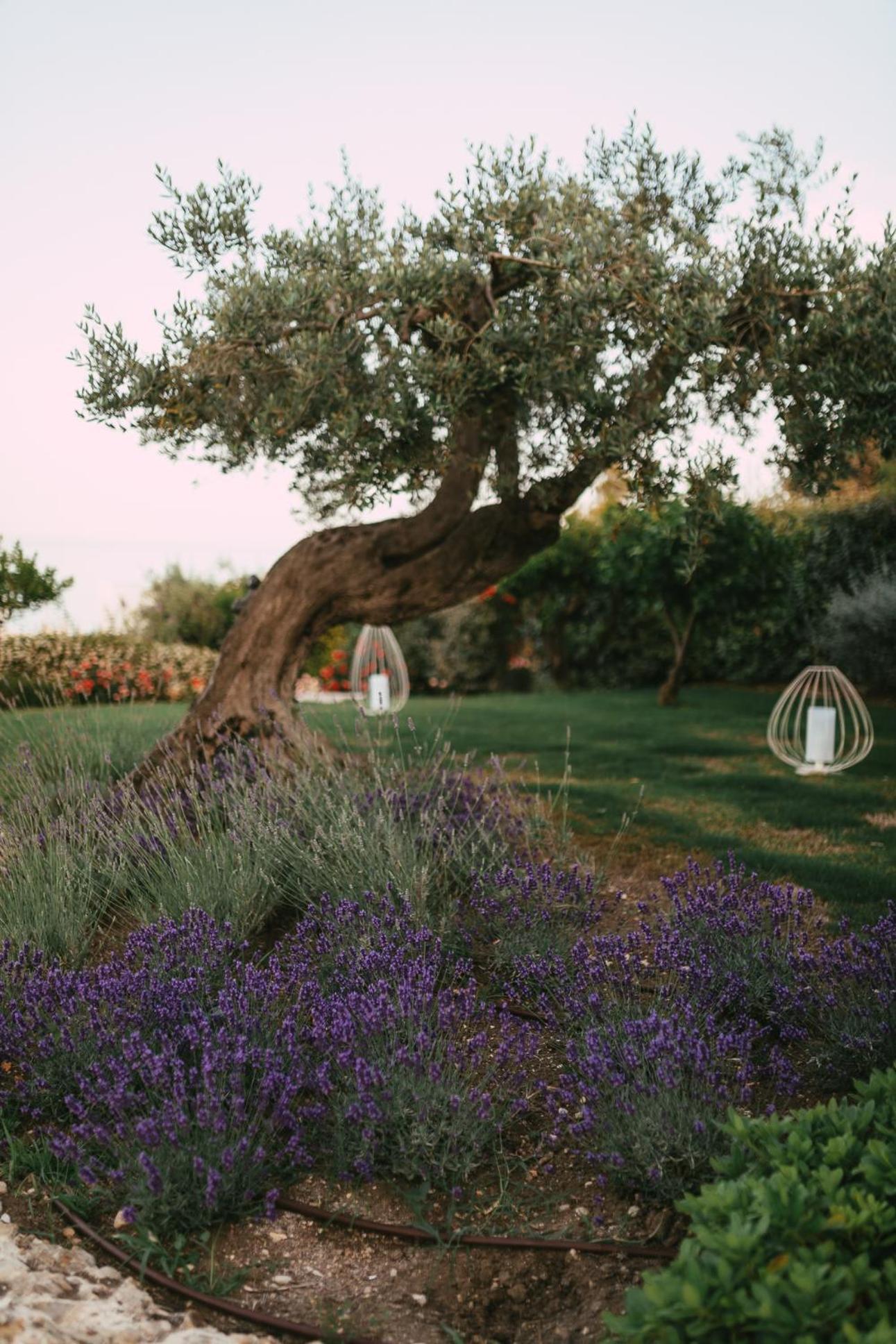 Baia Delphis Resort Vasto Exterior photo