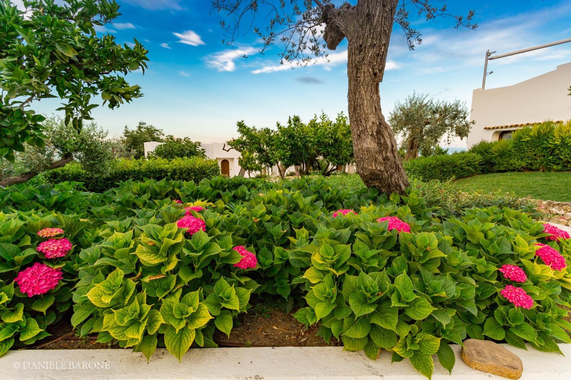 Baia Delphis Resort Vasto Exterior photo
